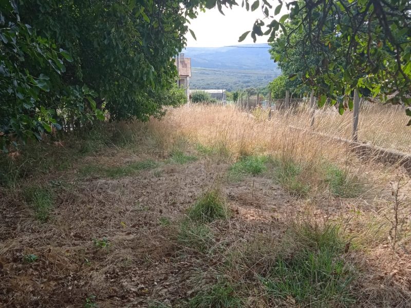 Casa con Parcela en Baltar