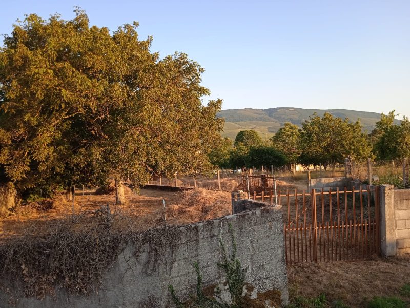 Casa con Parcela en Baltar